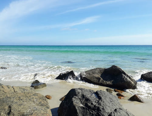 Bãi Nhát Côn Đảo – Bãi biển lý tưởng cho những ai muốn tìm kiếm sự yên bình và tĩnh lặng